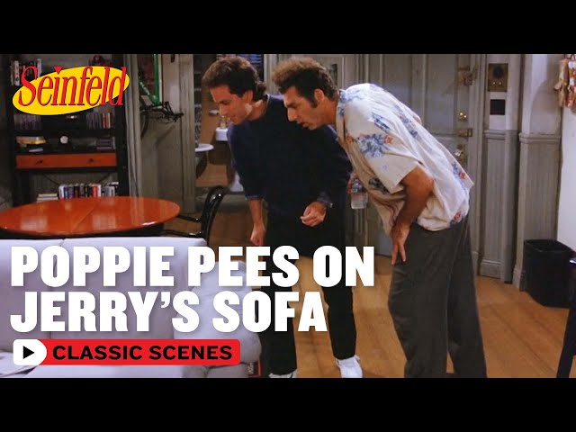 POPPIE PEED ON MY SOFA! | The Couch | Seinfeld