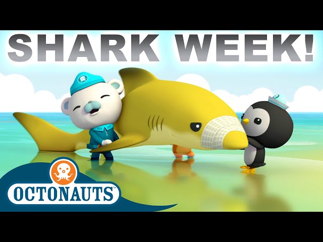 @Octonauts - Lemon Shark Rescue 🦈🍋⛑️ | Season 1 | Full Episodes | Cartoons for Kids