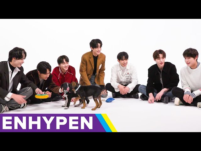 ENHYPEN: The Puppy Interview