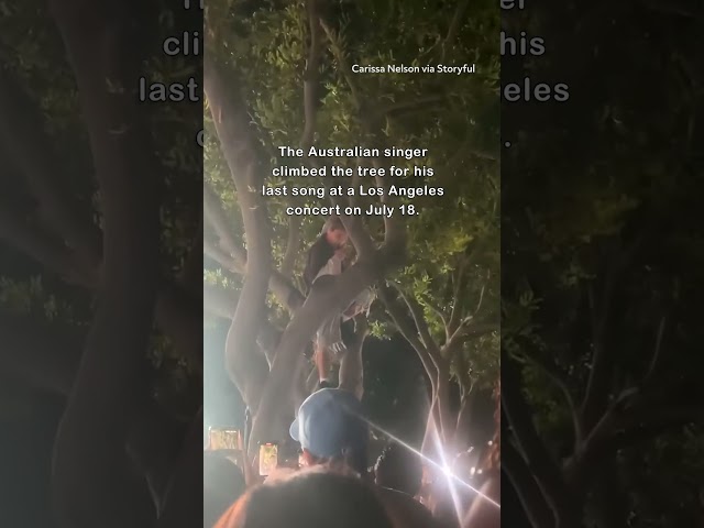 Justin Bieber Looks Surprised as The Kid Laroi Climbs Tree During Concert