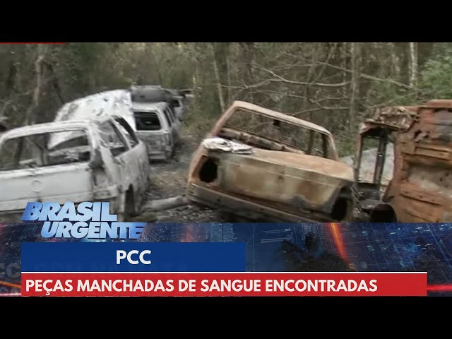 PCC: Peças manchadas de sangue encontradas em mata | Brasil Urgente