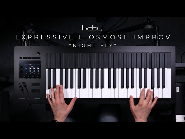 Kebu - Expressive E Osmose improv: "Night Fly"
