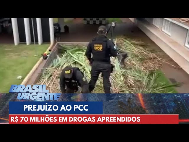 Prejuízo ao PCC: policiais apreendem R$ 70 milhões em drogas | Brasil Urgente