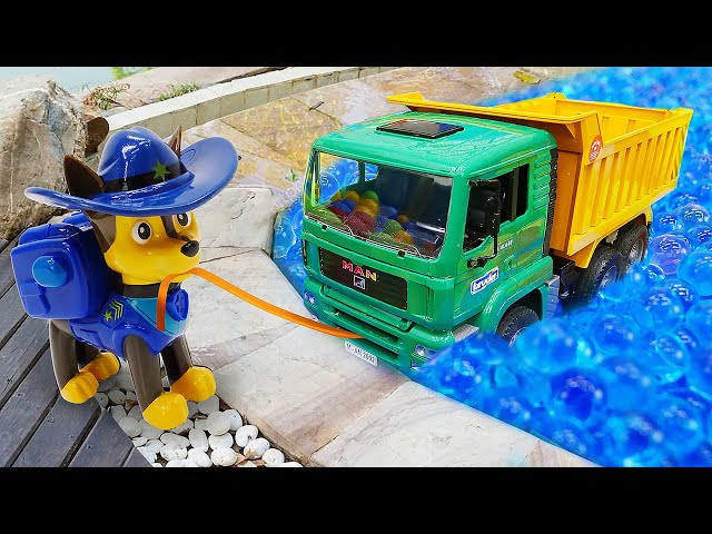 Paw Patrol toys search toys in the pool | Videos for kids. Pretend to play with toys.