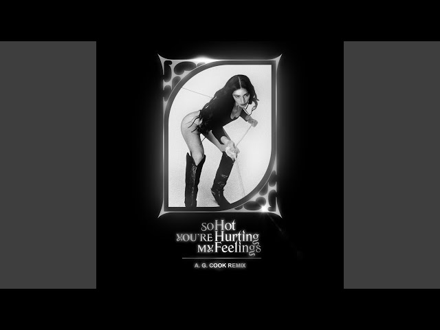 So Hot You're Hurting My Feelings (A. G. Cook Remix)