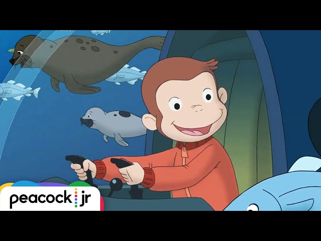 George Goes To The North Pole! 🐵Curious George 🐵 Kids Cartoon 🐵Videos for Kids