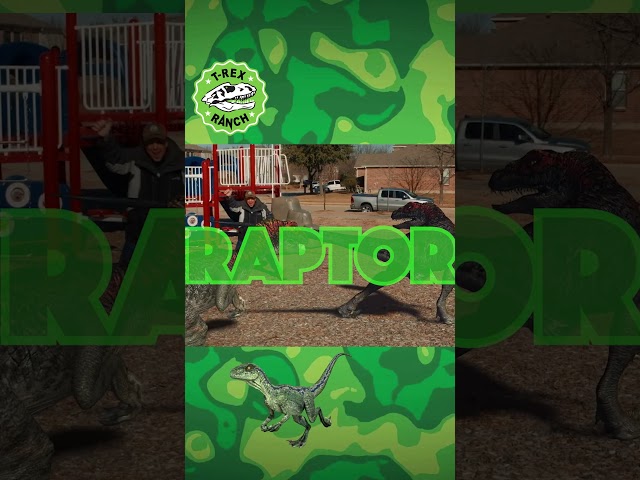 RAPTORS! Run Away! 🦖 | T-Rex Ranch Dinosaur Videos for Kids