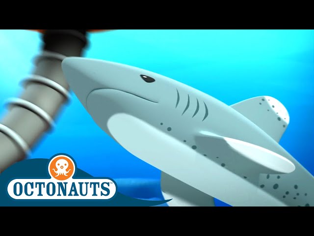 Octonauts - Hungry Shark Chase | Cartoons for Kids | Underwater Sea Education