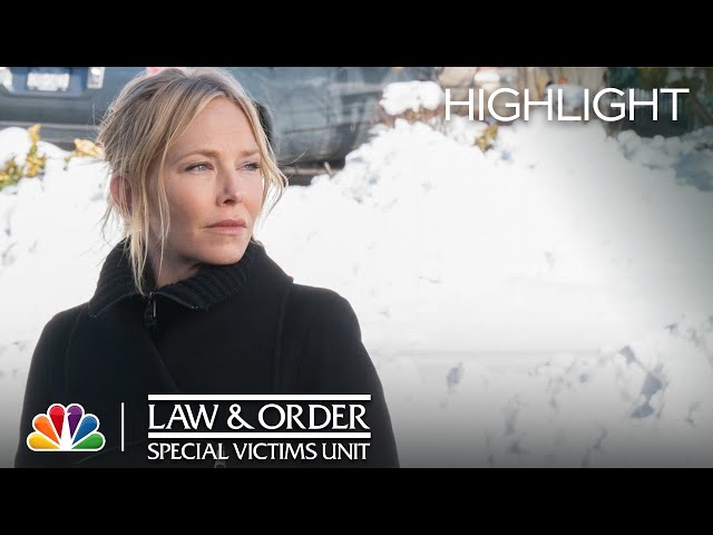 Carisi Lifts Rollins Up When She Needs It Most - Law & Order: SVU