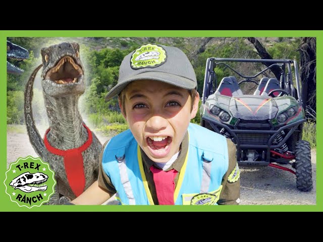 BRAND NEW! Dino DNA | T-Rex Ranch Dinosaur Videos