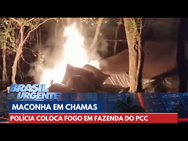 Policiais colocam fogo em 9 toneladas de maconha do PCC | Brasil Urgente