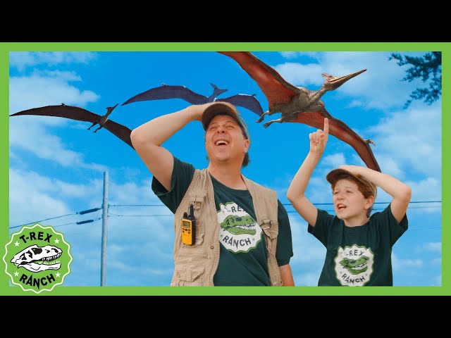 Play Hide and Seek at Dinosaur World 🦖 T-Rex Ranch Dinosaur Videos