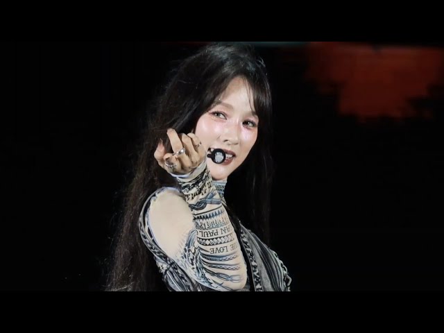 얼빡직캠 이효리 (Lee Hyori) - Hey Mr. BiG (헤이미스터빅) [4K] 직캠 Fancam (베트남 젠페스트 축제) 231105