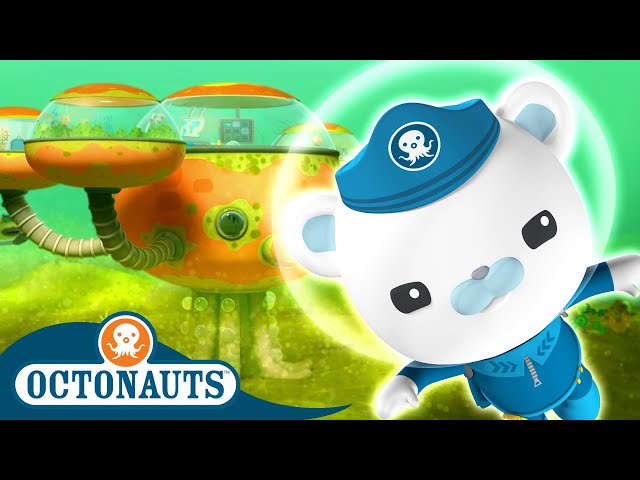 @Octonauts -  🍃 The Great Algae Escape ⛑️ | Season 1 | Full Episodes | Cartoons for Kids