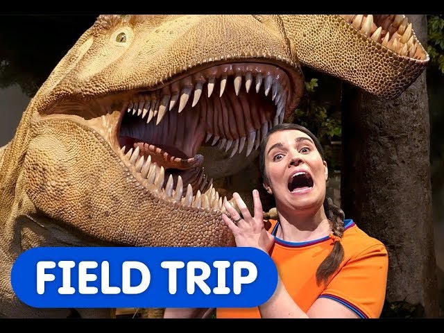 Dinosaur Discoveries! | Caitie's Classroom Field Trip | Nature Museum for Kids