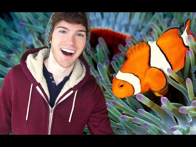 Exploring The World Aquarium! feat. NEMO