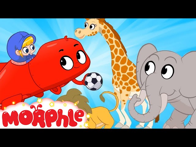 Zoo Soccer - Morphle's Ball | My Magic Pet Morphle | Cartoons for Kids | Morphle TV