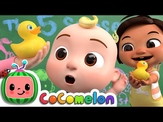 Five Senses Song | CoComelon Nursery Rhymes & Kids Songs