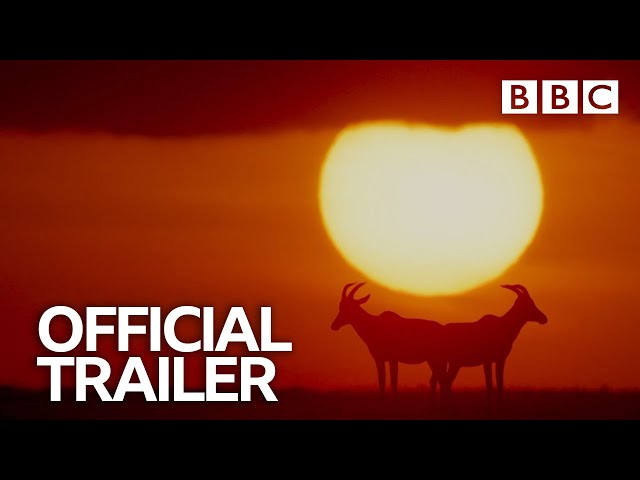 The Mating Game | David Attenborough | Trailer - BBC