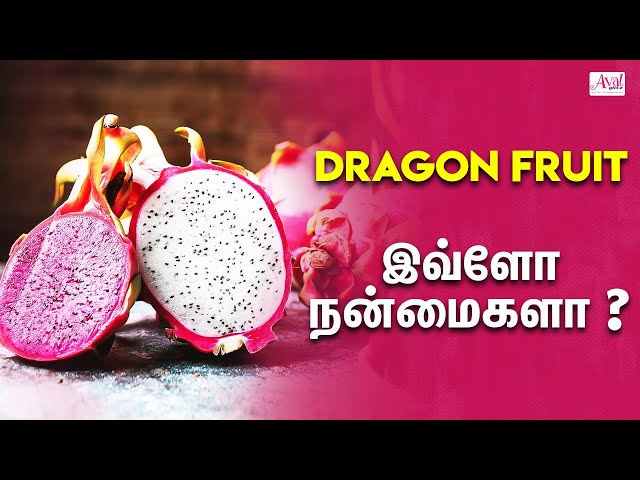 Top Health Benefits of Dragon Fruit | Pitaya Fruit | Eating Dragon Fruit, Weight Loss Fruit
