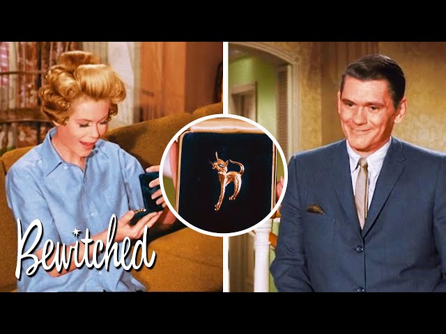 Darrin Calls His Anniversary Dinner Off | Bewitched