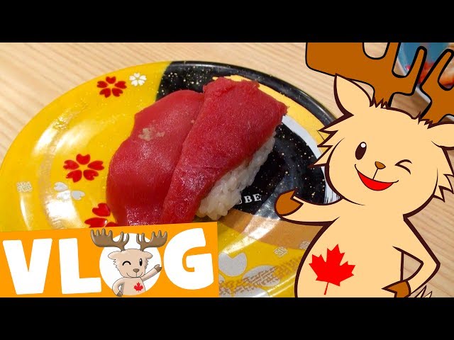 Let's Eat Sushi | Marty's Vlog