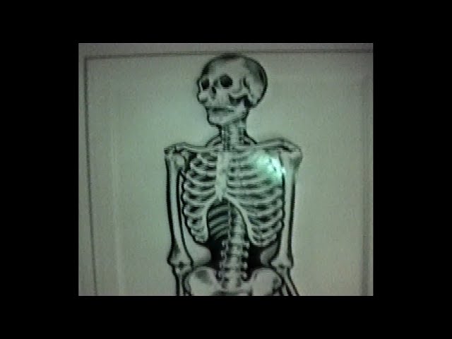 Bones - FreakyFriday