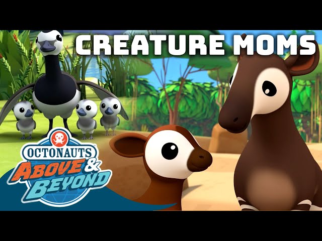 Octonauts: Above & Beyond - Creature Moms | Mother's Day Special! |  @Octonauts​