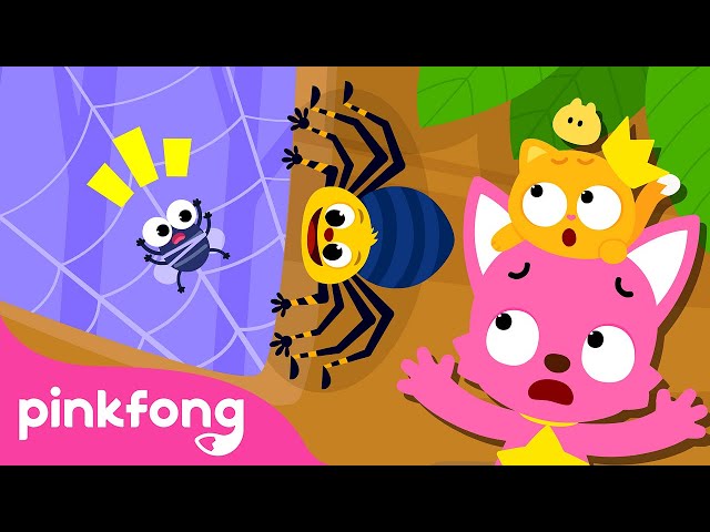 Oh no! Itsy Bitsy Spider Song | Mother Goose of Pinkfong Ninimo | Pinkfong Kids Song