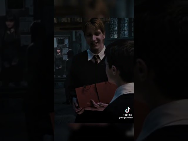 Harry Potter TikTok Compilation