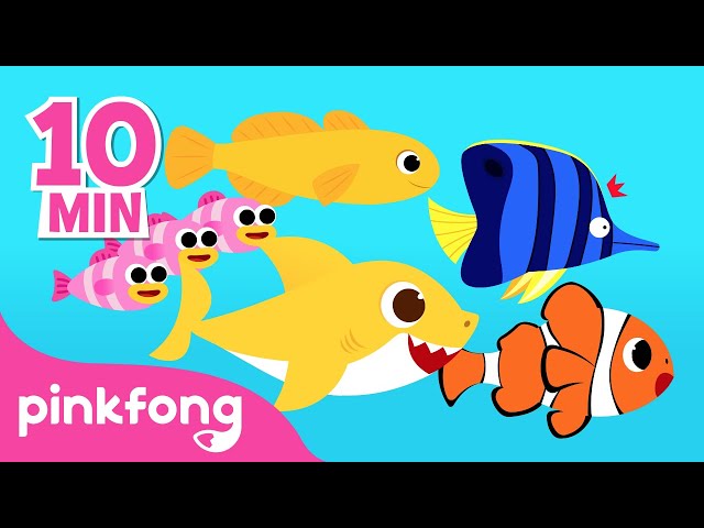 Best Buddies of Baby Shark + More Songs | Compilation | Songs for Kids | Pinkfong