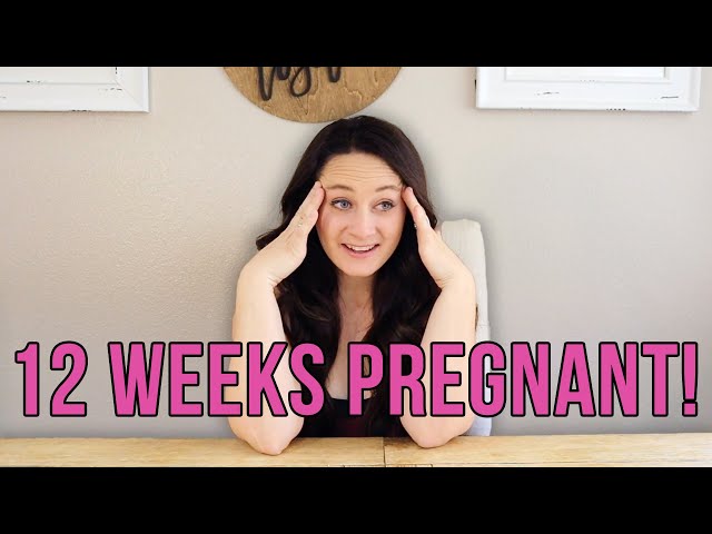 12 Week Pregnancy Update!