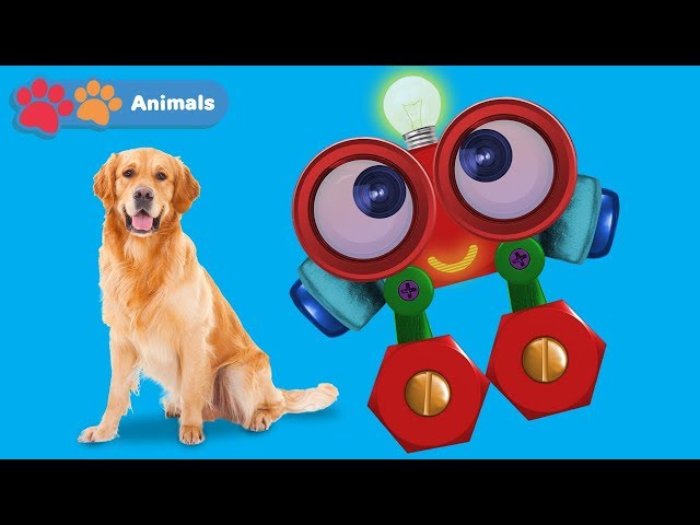 Learn About Dogs & Animals for Kids with Robi | Animals Names & Sounds | Wild Animals for Children
