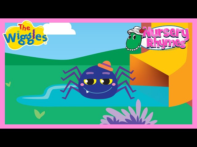 Incy Wincy Spider 🎶 Preschool Nursery Rhyme 🎶 The Wiggles