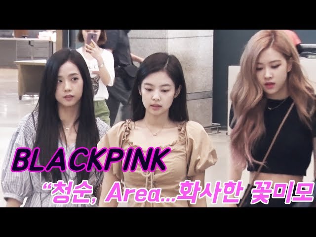 "청순, Area"....블랙핑크, 화사한 꽃미모 #BLACKPINK [디패짤]