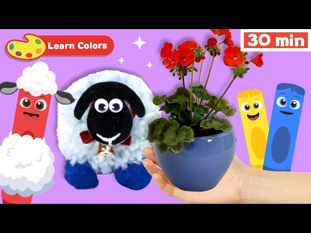 New Show! Color Crew Magic | Educational Video | Flower Plant | Wool Sheep & More | Learn Colors