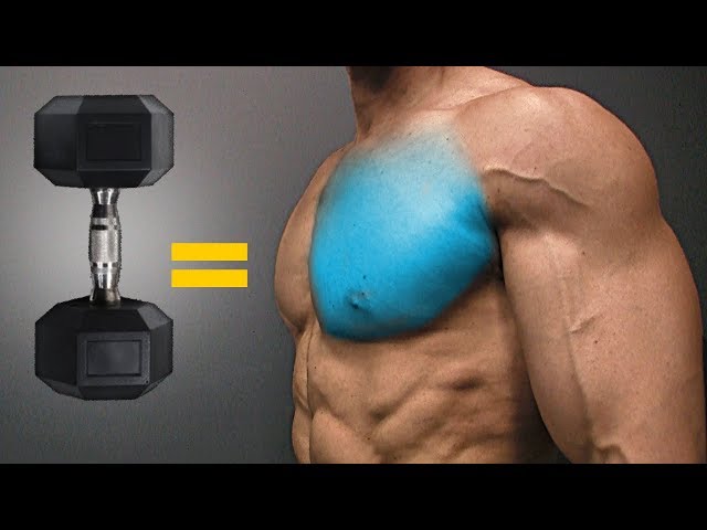 The BEST Dumbbell Exercises - CHEST EDITION!