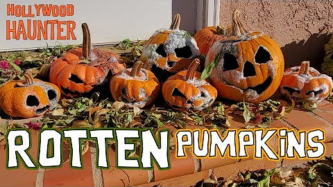 DIY Halloween Decor - Cheap & Easy Halloween Decorations