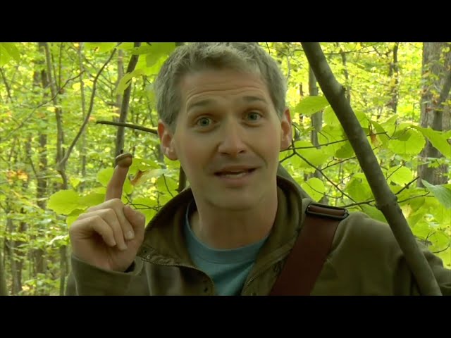 Preview - Throwback Episode 1 - "Squirrels" (2008)