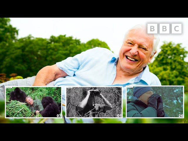 97 years of Sir David Attenborough in 97 seconds | David Attenborough's Birthday - BBC