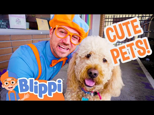 Blippi Takes Care of Cute Pets in the Animal Shelter | Blippi Full Episodes | Animal Videos for Kids