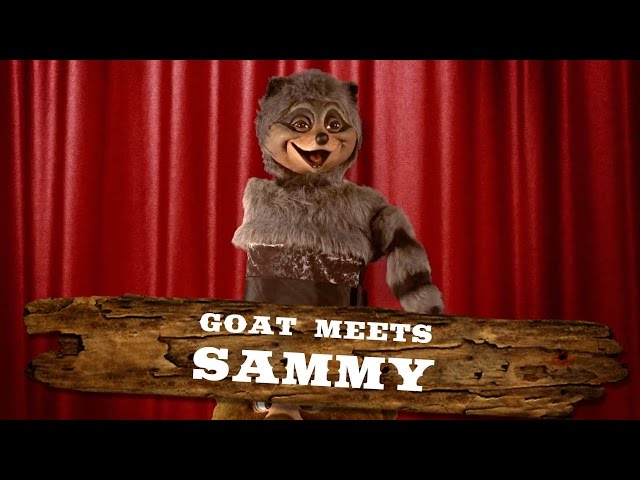 Sammy the Raccoon | Walt Disney World Goat Friends | WDW Best Day Ever