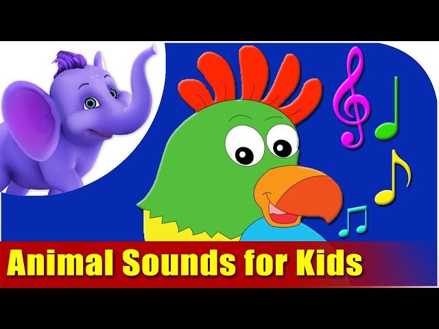 Animal Sounds for Kids!