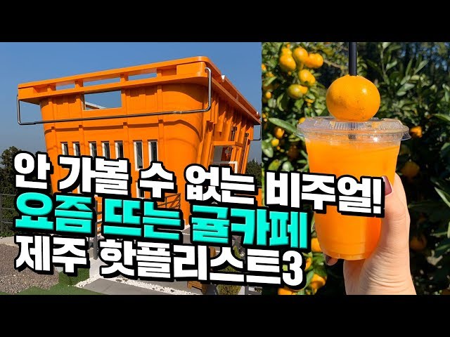 [canⓓ] 비주얼부터 난리난 요즘 뜨는 제주 귤카페 3