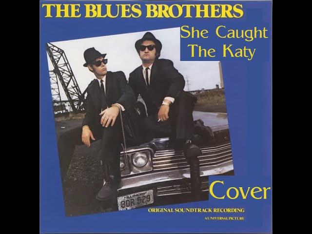 S05 She Caught the Katy - The Blues Brothers - Taj Mahal - EDrum Cover
