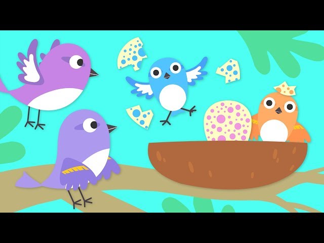 Treetop Family Episode #1 | Hello Baby Sparrows | Cartoon For Children