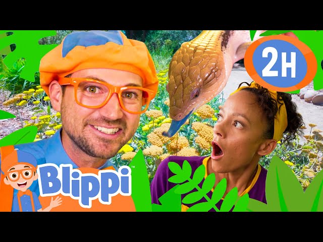 Blippi and Meekah's Scientific Scavenger Hunt | BEST OF BLIPPI TOYS | Educational Videos for Kids