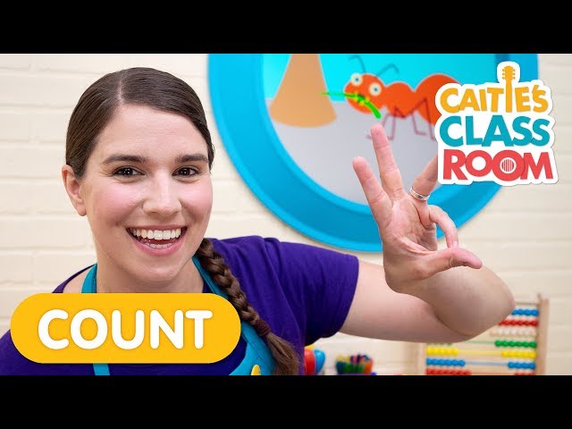 Counting With Bugs | Caitie's Classroom