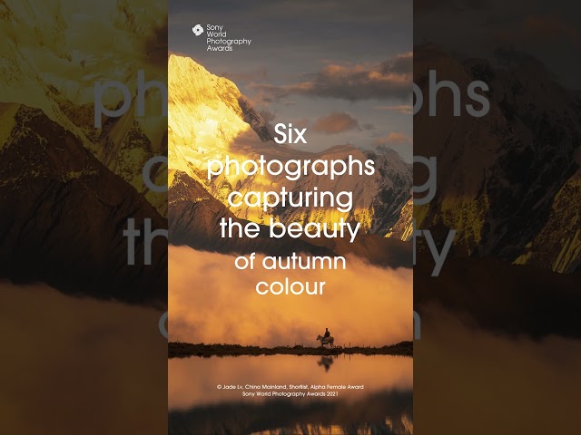 Inspiration for your next autumnal photoshoot from the Sony World Photography Awards #shorts