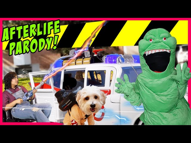 Funny dog vs Slimer ghostbusters afterlife edition